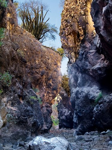 LAS TRAIDORAS TINAJAS DEL TERAHUÁCACHI
