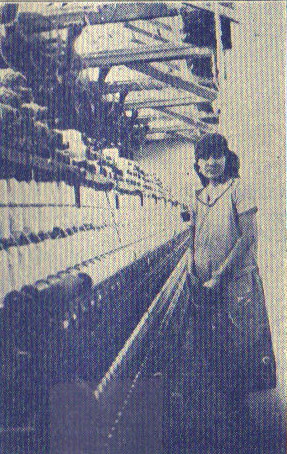 COMPAÑÍA INDUSTRIAL DEL PACÍFICO, S.A.