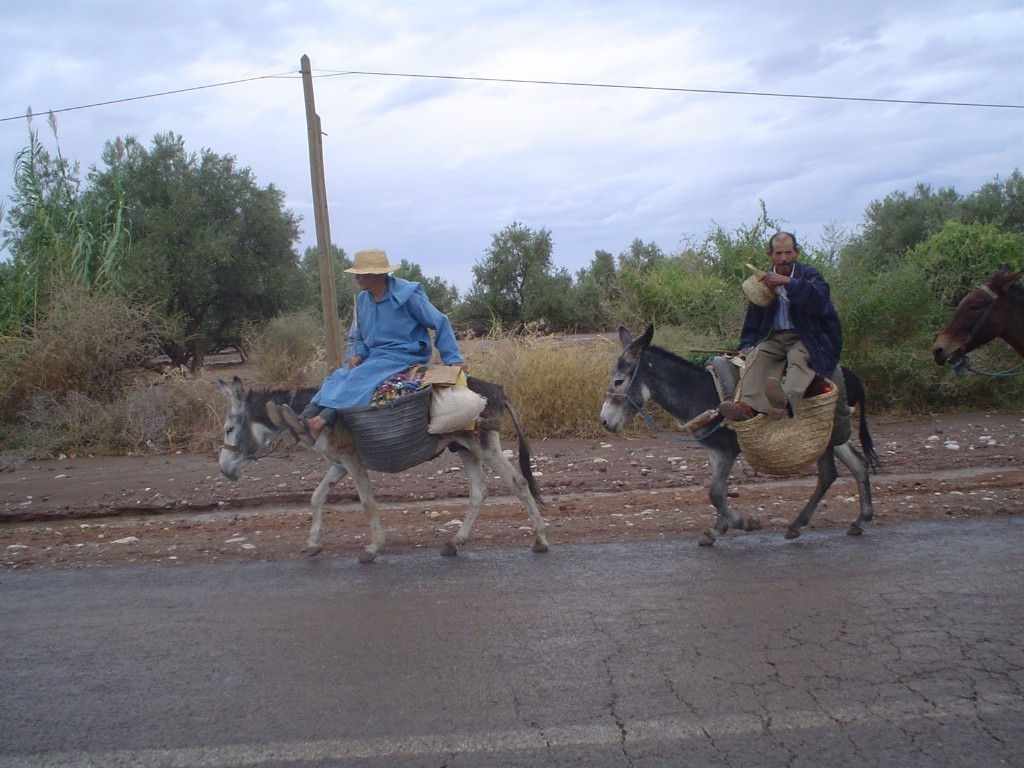 LA MUJER QUE ENTERRARON   CON TODO Y BURRO