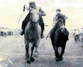 DON BENIGNO