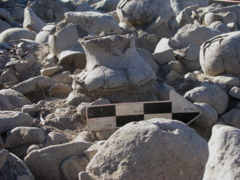 Cementerio prehispánico en Sonora revela tradición funeraria
