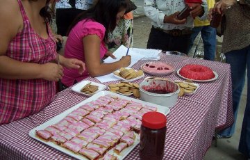 pitahayas